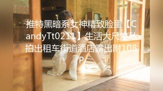 推特黑暗系女神精致脸蛋【CandyTt0211】生活大尺度私拍出租车街道酒店露出附108P