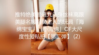 推特绝美颜值九头身丝袜高跟美腿名媛网黄主人的玩具「海绵宝宝」「小海绵」OF大尺度性爱私拍【第二弹】 (2)