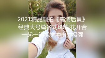 2021精品厕拍《高清后景》经典大号篇各式BB菊花开合一起一蹲视觉冲击力极强