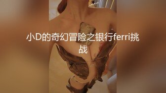 小D的奇幻冒险之银行ferri挑战