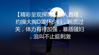 【精彩呈现探花】新人首场，约操大胸D罩杯少妇，画质过关，体力有待加强，暴插骚妇，浪叫不止挺刺激