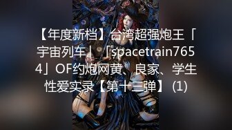 【年度新档】台湾超强炮王「宇宙列车」「spacetrain7654」OF约炮网黄、良家、学生性爱实录【第十三弹】 (1)