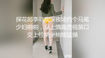 探花郎李寻欢深夜场约个马尾少妇啪啪，穿上情趣透视装口交上位骑坐抽插猛操