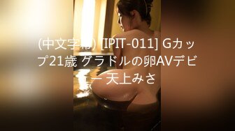 (中文字幕) [IPIT-011] Gカップ21歳 グラドルの卵AVデビュー 天上みさ