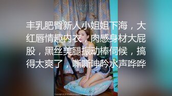 丰乳肥臀新人小姐姐下海，大红唇情趣内衣，肉感身材大屁股，黑丝美腿振动棒伺候，搞得太爽了，嘶嘶呻吟水声哗哗