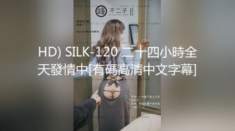 HD) SILK-120 二十四小時全天發情中[有碼高清中文字幕]