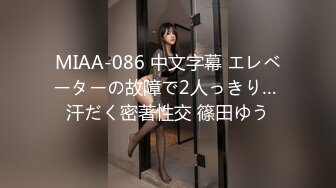 MIAA-086 中文字幕 エレベーターの故障で2人っきり… 汗だく密著性交 篠田ゆう