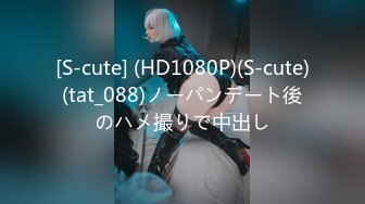 [S-cute] (HD1080P)(S-cute)(tat_088)ノーパンデート後のハメ撮りで中出し