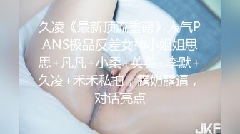 久凌《最新顶流重磅》人气PANS极品反差女神小姐姐思思+凡凡+小柔+英英+李默+久凌+禾禾私拍，露奶露逼，对话亮点