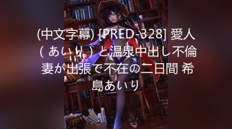 (中文字幕) [PRED-328] 愛人（あいり）と温泉中出し不倫 妻が出張で不在の二日間 希島あいり