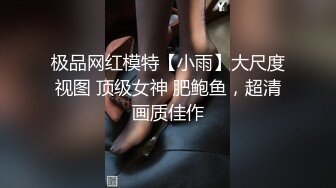 极品网红模特【小雨】大尺度视图 顶级女神 肥鲍鱼，超清画质佳作