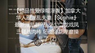 【极品性爱绿帽淫妻】加拿大华人圈淫乱夫妻『Sophia』最新淫趴群P乱交①二龙戏凤 三骚战肉棒 场面淫乱淫靡操乱了 (2)