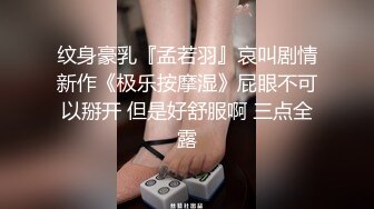 纹身豪乳『孟若羽』哀叫剧情新作《极乐按摩湿》屁眼不可以掰开 但是好舒服啊 三点全露