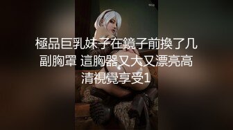 極品巨乳妹子在鏡子前換了几副胸罩 這胸器又大又漂亮高清視覺享受1