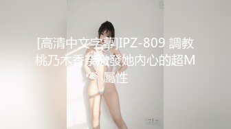 [高清中文字幕]IPZ-809 調教桃乃木香奈激發她內心的超M屬性