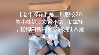 【老牛探花】第二炮职校20岁小妹妹，发育不错，D罩杯，粉胸白臀高耸，啪啪插入骚叫不断