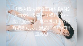 《蓝树精选顶流重磅》PANS人气女神极品当红模特 小小 大尺度私拍，真空透明蓝丝肥鲍清晰可见，摄影师PUA对白是亮点