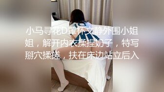 小马寻花D罩杯文静外围小姐姐，解开内衣揉捏奶子，特写掰穴揉搓，扶在床边站立后入