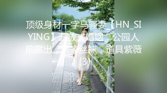 顶级身材一字马骚妻【HN_SIYING】开放式婚姻，公园人前露出，居家丝袜，道具紫薇 (3)