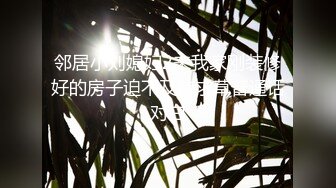 邻居小刘媳妇2来我家刚装修好的房子迫不及待求草普通话对白