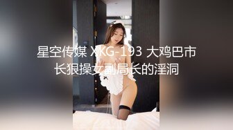 星空传媒 XKG-193 大鸡巴市长狠操女副局长的淫洞