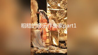 粗糙的音乐作曲家part1