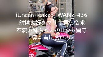 (Uncen-leaked) WANZ-436 射精大好きマサオ君と欲求不満お姉ちゃんのHなお留守番4 吉川あいみ