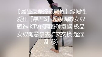 【最强反差终极调教】绿帽性爱狂『暴君S』超级调教女奴甄选 KTV包厢各种爆操 极品女奴随意拿去群交交换 超淫乱 (3)