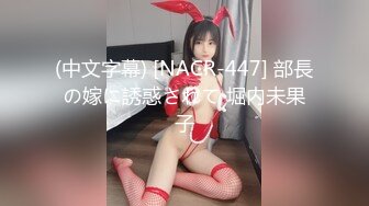 (中文字幕) [NACR-447] 部長の嫁に誘惑されて 堀内未果子