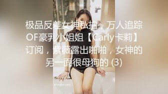 极品反差女神私拍，万人追踪OF豪乳小姐姐【Carly卡莉】订阅，紫薇露出啪啪，女神的另一面很母狗的 (3)