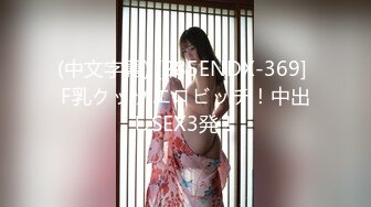 (中文字幕) [285ENDX-369] F乳クッソエロビッチ！中出しSEX3発！