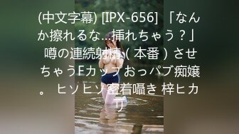 (中文字幕) [IPX-656] 「なんか擦れるな…挿れちゃう？」 噂の連続射精（本番）させちゃうFカップおっパブ痴嬢。 ヒソヒソ密着囁き 梓ヒカリ