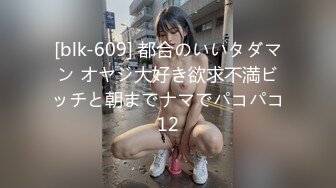 [blk-609] 都合のいいタダマン オヤジ大好き欲求不満ビッチと朝までナマでパコパコ12