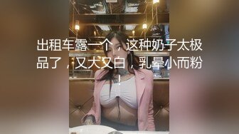 出租车露一个，这种奶子太极品了，又大又白，乳晕小而粉！