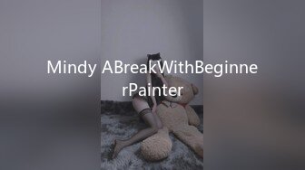 Mindy ABreakWithBeginnerPainter