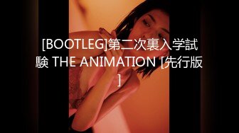 [BOOTLEG]第二次裏入学試験 THE ANIMATION [先行版]