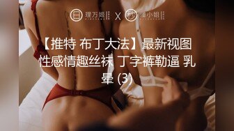 【推特 布丁大法】最新视图 性感情趣丝袜 丁字裤勒逼 乳晕 (3)