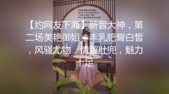 【约网友下海】新晋大神，第二场美艳御姐，丰乳肥臀白皙，风骚尤物，情趣肚兜，魅力十足