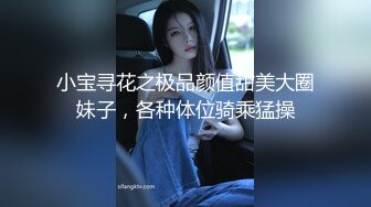 小宝寻花之极品颜值甜美大圈妹子，各种体位骑乘猛操