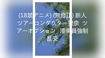 (18禁アニメ) (無修正) 新人ツアーコンダクター里奈  ツアーオプション⇔添乗員強制乱交