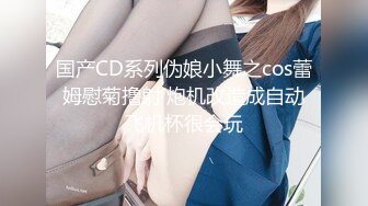 国产CD系列伪娘小舞之cos蕾姆慰菊撸射 炮机改造成自动飞机杯很会玩