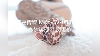 麻豆传媒 MKY-SV-003 我的春梦实现了 岚湘庭