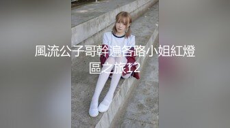 風流公子哥幹遍各路小姐紅燈區之旅12