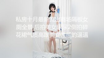 私房十月最新流出商场隔板女厕全景 后拍美女尿尿2侧拍碎花裙气质高跟美女性感的逼逼