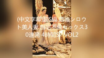 (中文字幕)超S級 最強シロウト美人妻 自宅不倫セックス30連発 4時間SP VOL2